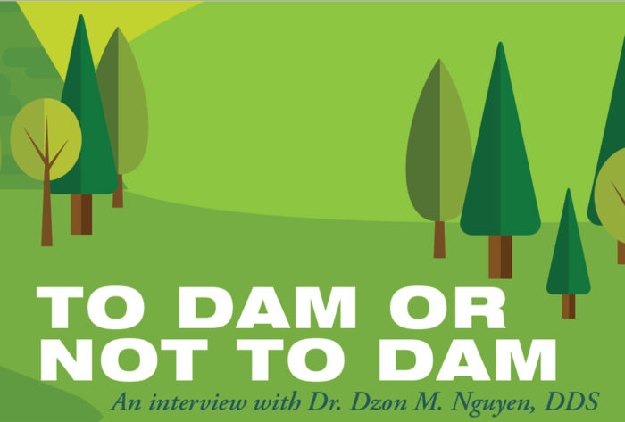 To dam or not to dam