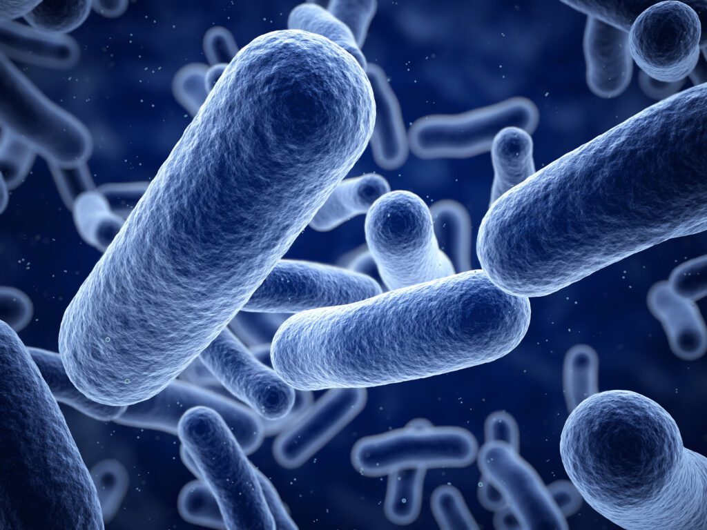 Artist rendering of bacteria