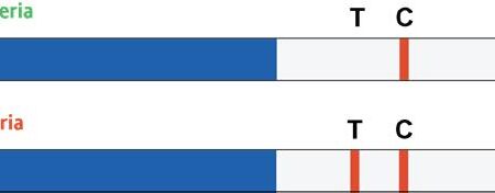 FASTCheck15 Test Strip Results