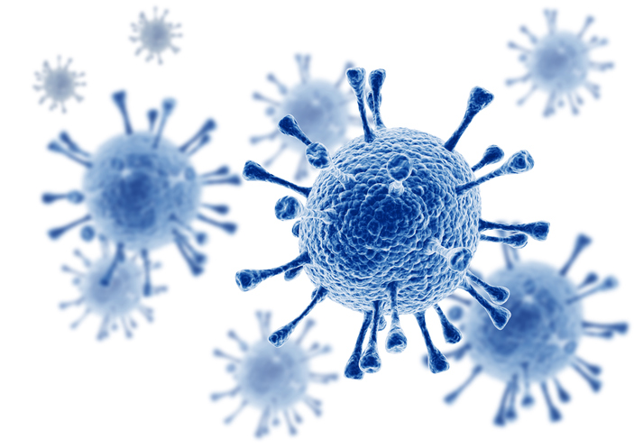 A colony of bacteria